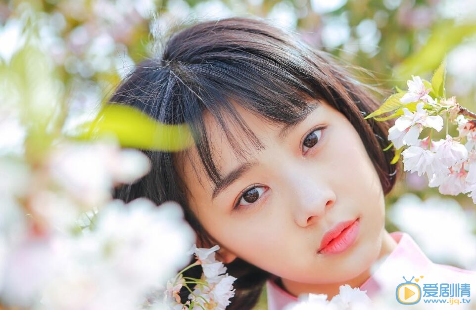 鲁照华樱花写真 鲁照华高清写真_鲁照华高清剧照