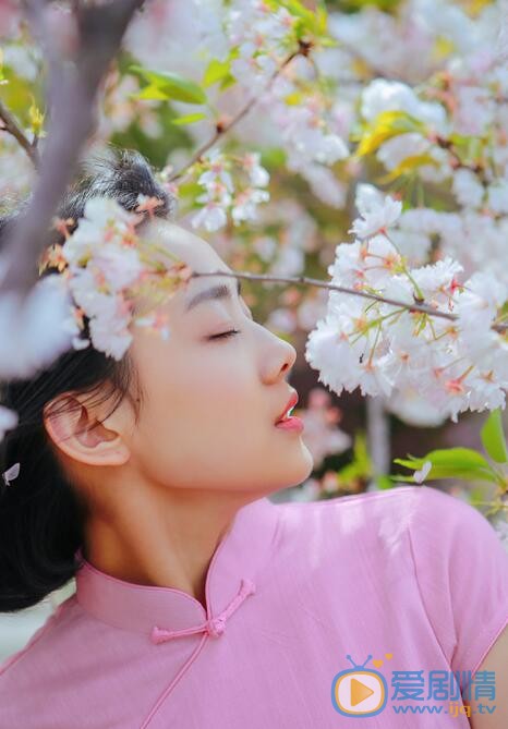 鲁照华樱花写真 鲁照华高清写真_鲁照华高清剧照