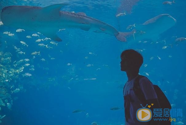 黄靖翔海底世界写真 黄靖翔高清写真_黄靖翔高清剧照