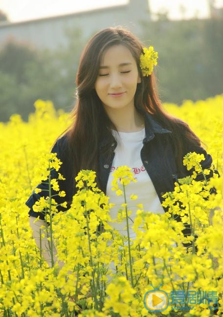高洋清纯写真 高洋高清写真_高洋高清剧照