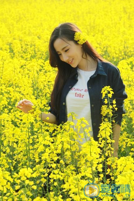 高洋清纯写真 高洋高清写真_高洋高清剧照