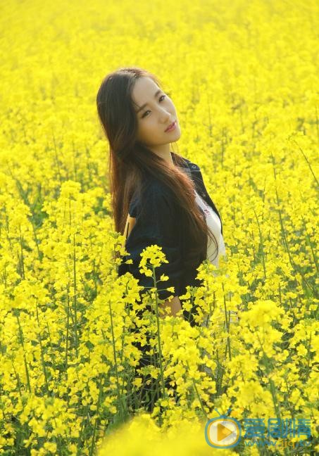 高洋清纯写真 高洋高清写真_高洋高清剧照