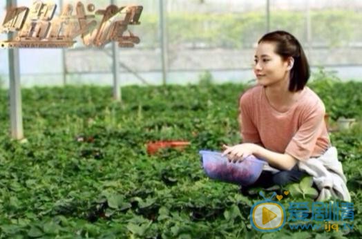 柴碧云《唱战记》剧照 柴碧云高清写真_柴碧云高清剧照