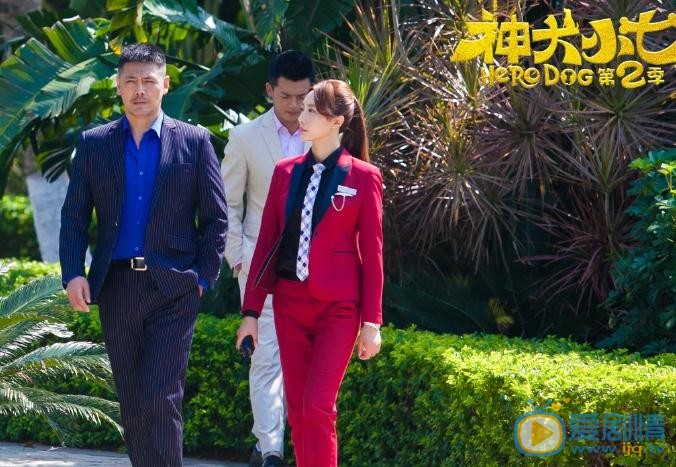王文绮《神犬小七2》剧照 王文绮高清写真_王文绮高清剧照