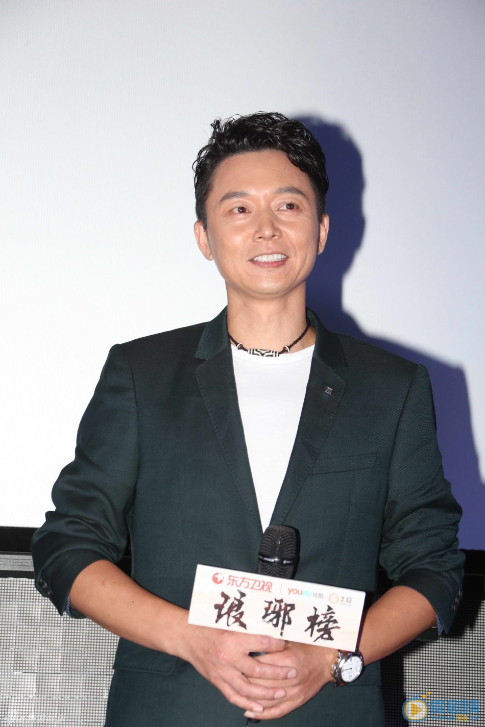 刘奕君参加活动照 刘奕君高清写真_刘奕君高清剧照