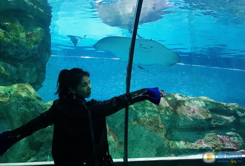 黄晓婉生活照 黄晓婉高清写真_黄晓婉高清剧照
