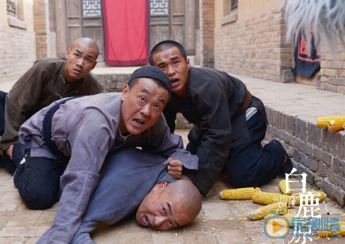 白鹿原鹿子霖剧照 