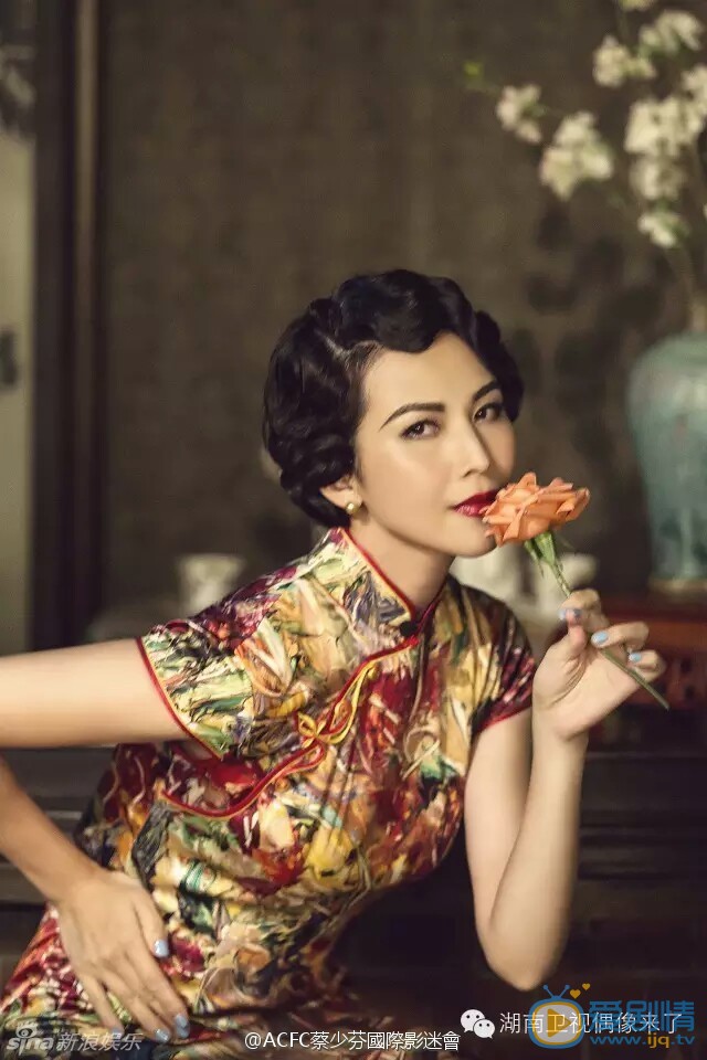 蔡少芬旗袍写真 蔡少芬高清写真_蔡少芬高清剧照