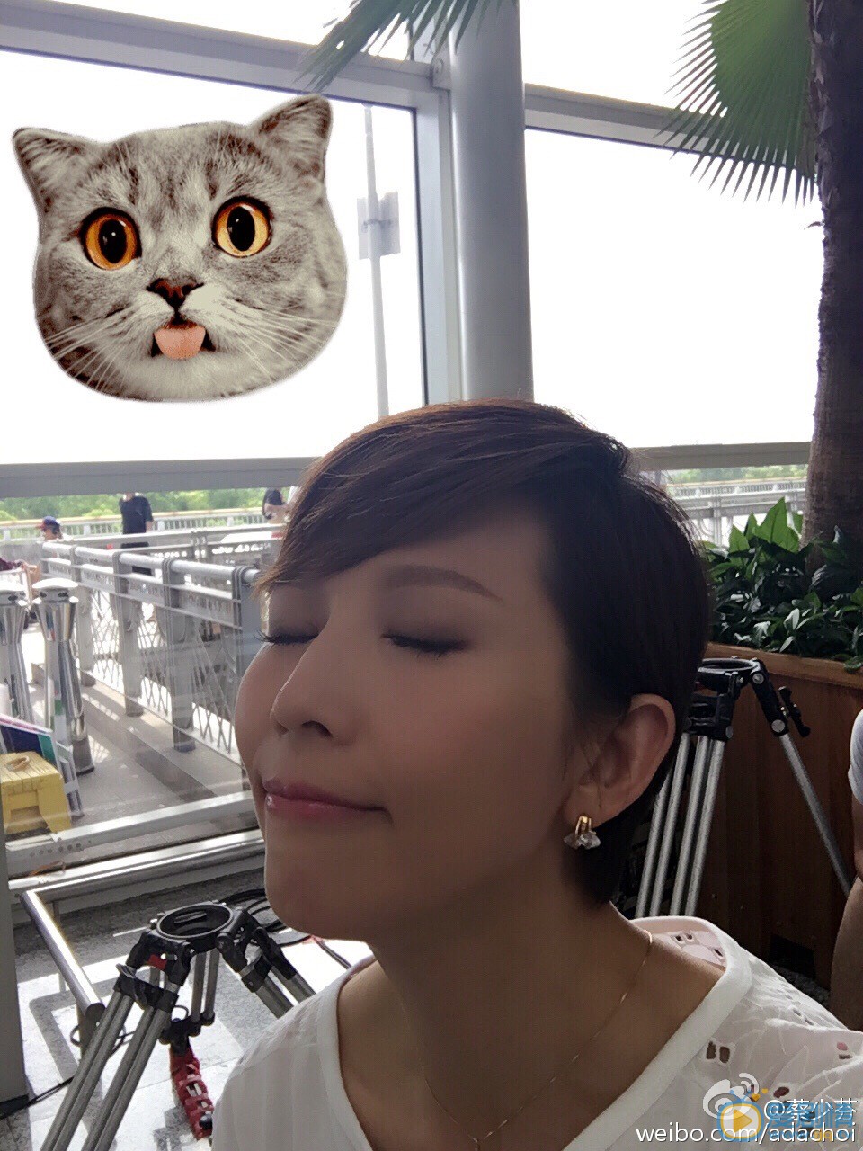 蔡少芬生活照 蔡少芬高清写真_蔡少芬高清剧照