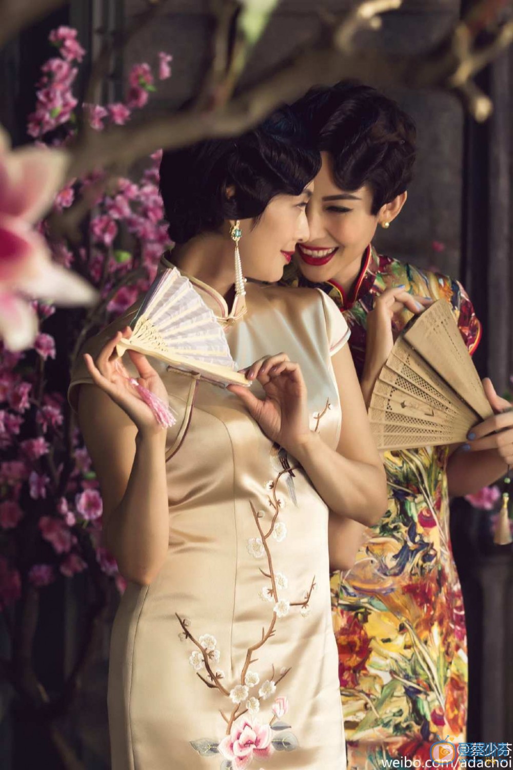 蔡少芬旗袍写真 蔡少芬高清写真_蔡少芬高清剧照