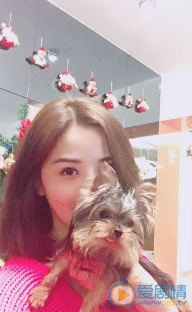 蔡卓妍狗狗合照 蔡卓妍狗狗合照
