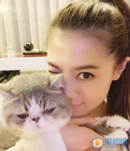 周秀娜猫咪合照 周秀娜高清写真_周秀娜高清剧照