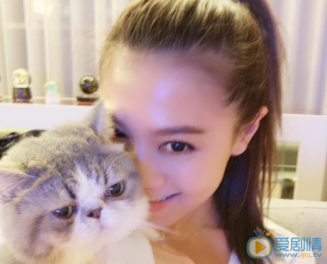 周秀娜猫咪合照 周秀娜猫咪合照