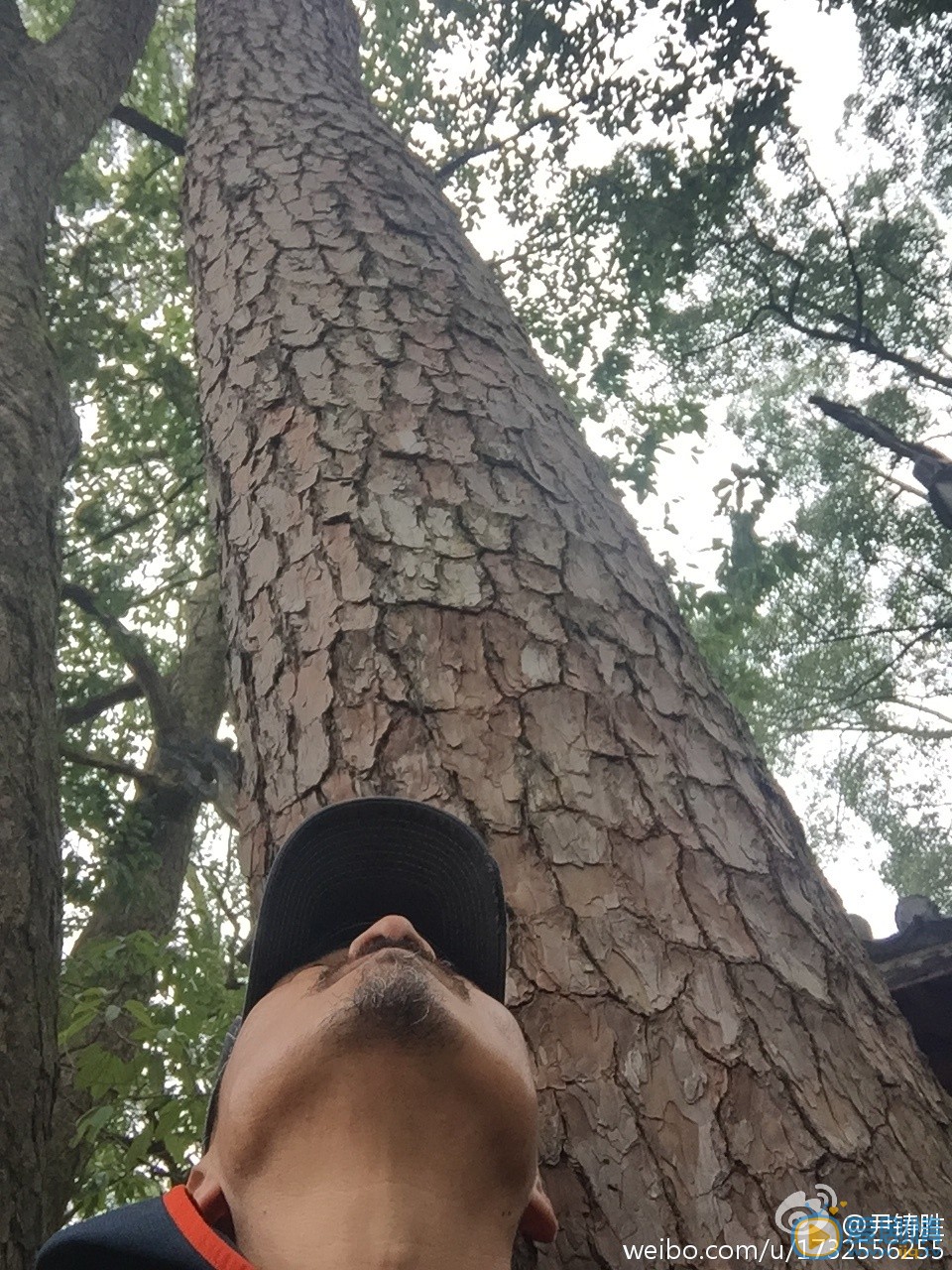 尹铸胜生活照 尹铸胜高清写真_尹铸胜高清剧照