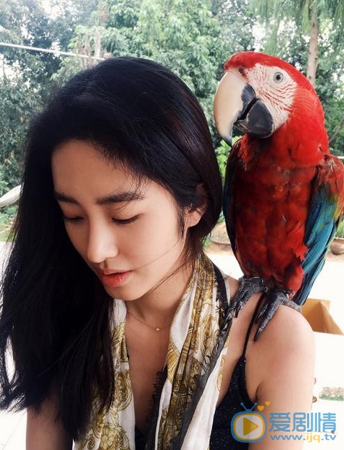 杨采钰生活照 杨采钰高清写真_杨采钰高清剧照