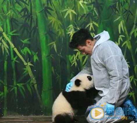 杜天皓《奇妙的朋友》节目照 杜天皓高清写真_杜天皓高清剧照