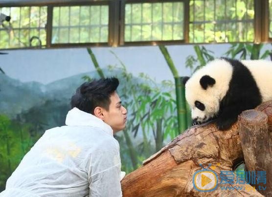 杜天皓《奇妙的朋友》节目照 杜天皓高清写真_杜天皓高清剧照
