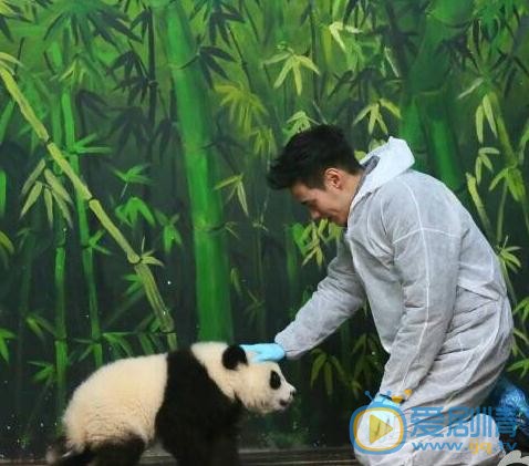 杜天皓《奇妙的朋友》节目照 杜天皓高清写真_杜天皓高清剧照