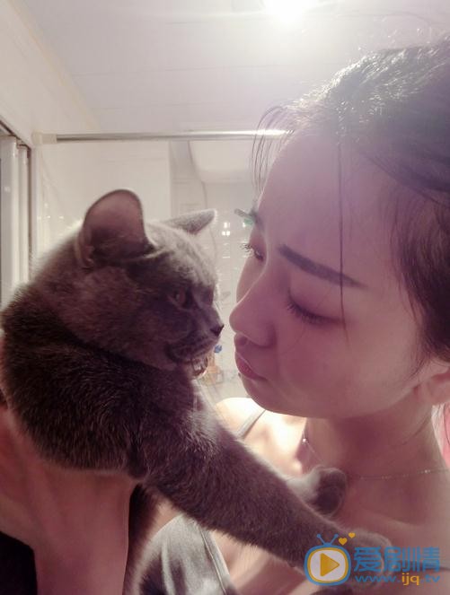 陈晨宠物合照 陈晨高清写真_陈晨高清剧照