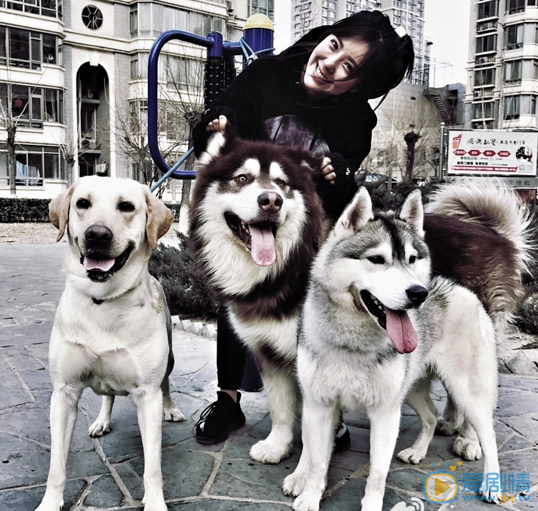 赵奕欢生活照 赵奕欢高清写真_赵奕欢高清剧照