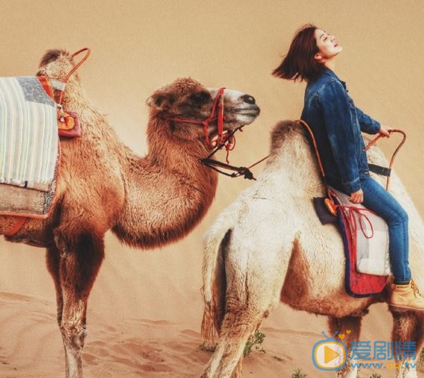 王真儿沙漠写真 王真儿高清写真_王真儿高清剧照