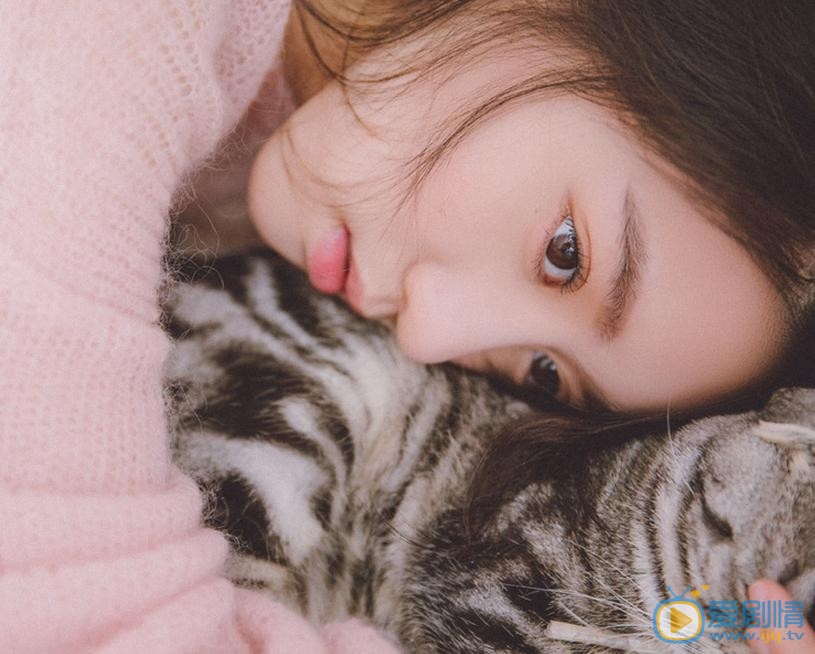 李凯馨猫咪物语 李凯馨高清写真_李凯馨高清剧照