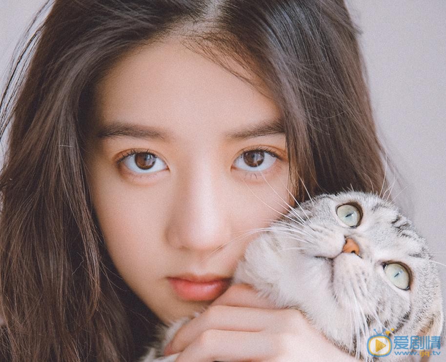 李凯馨猫咪物语 李凯馨高清写真_李凯馨高清剧照