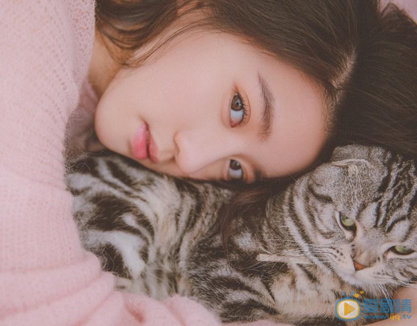 李凯馨猫咪物语 李凯馨高清写真_李凯馨高清剧照
