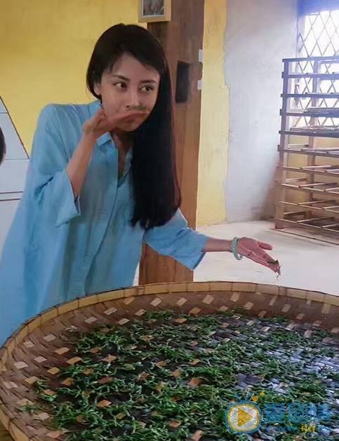 贾媛媛生活照 贾媛媛高清写真_贾媛媛高清剧照