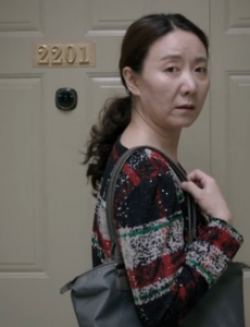 樊胜美嫂子
