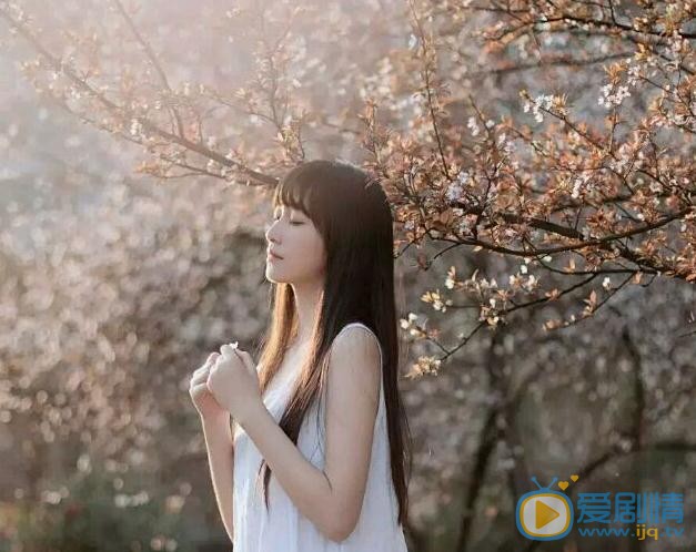 杨肸子清纯写真 杨肸子高清写真_杨肸子高清剧照