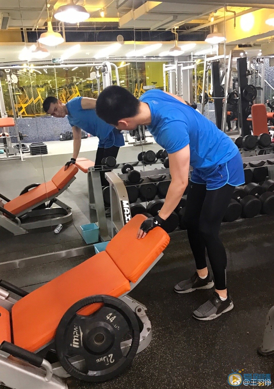 王羽铮运动健身照 王羽铮高清写真_王羽铮高清剧照