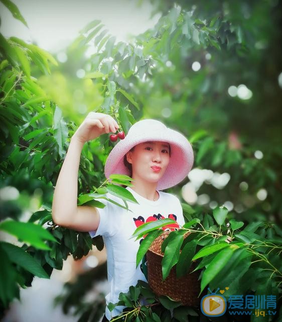 杨淇旅游照 杨淇高清写真_杨淇高清剧照