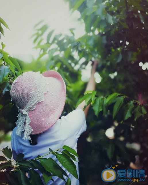 杨淇旅游照 杨淇高清写真_杨淇高清剧照