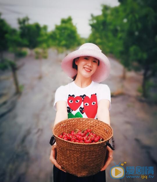 杨淇旅游照 杨淇高清写真_杨淇高清剧照