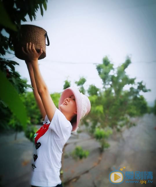 杨淇旅游照 杨淇高清写真_杨淇高清剧照