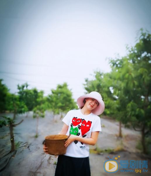 杨淇旅游照 杨淇高清写真_杨淇高清剧照