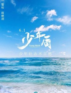 少年盾