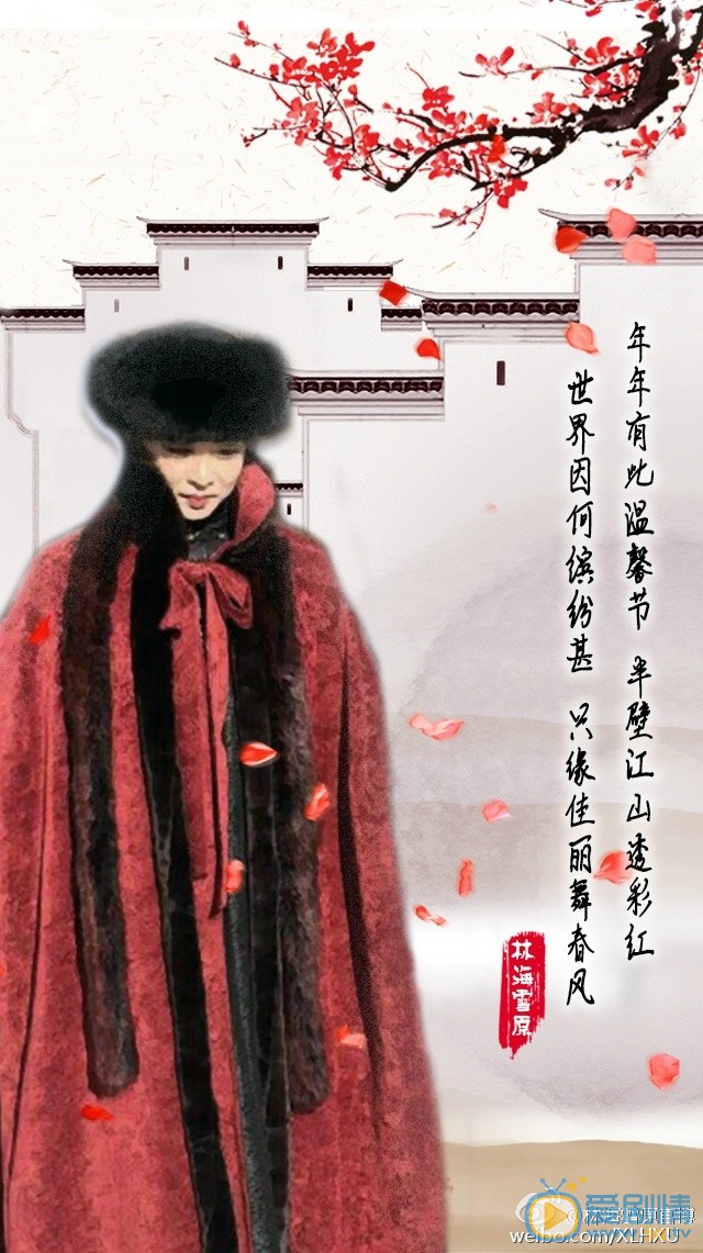 林海雪原蝴蝶迷剧照 
