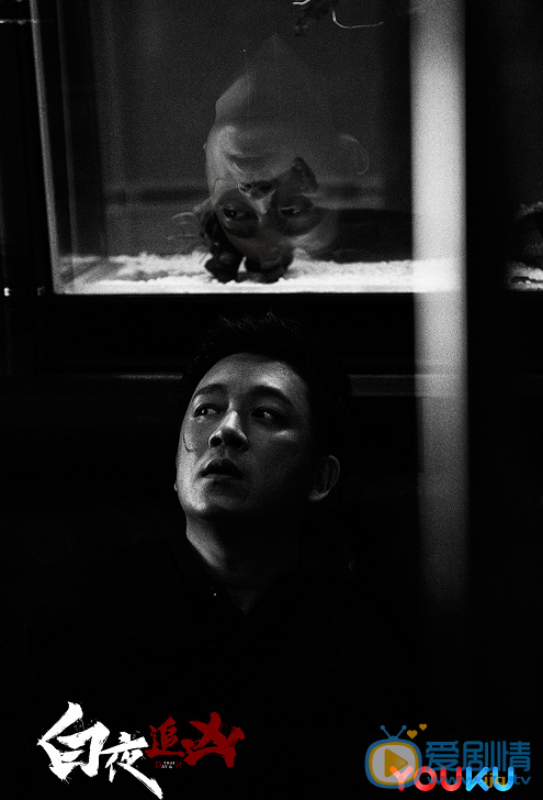 潘粤明《白夜追凶》剧照 潘粤明高清写真_潘粤明高清剧照