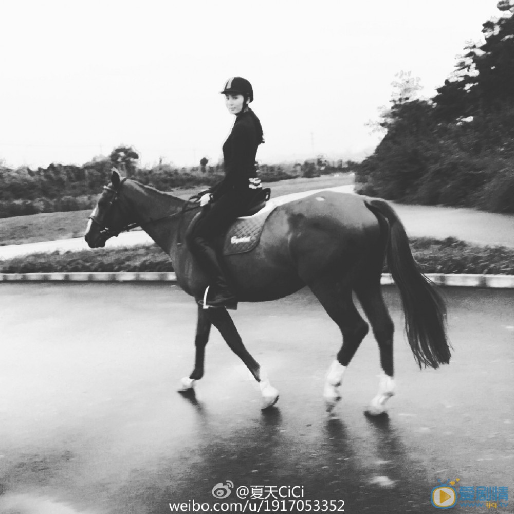 王紫璇骑马照 王紫璇骑马照