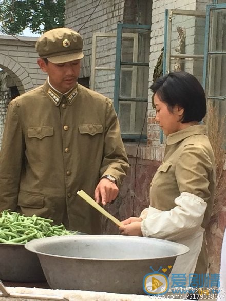绝密543赵盈秋剧照