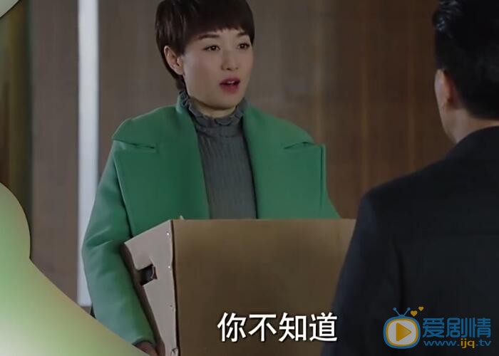  我的前半生第33、34集预告   罗子君帮助贺涵被苏曼殊辞退   吴大娘推荐罗子君去辰星上班