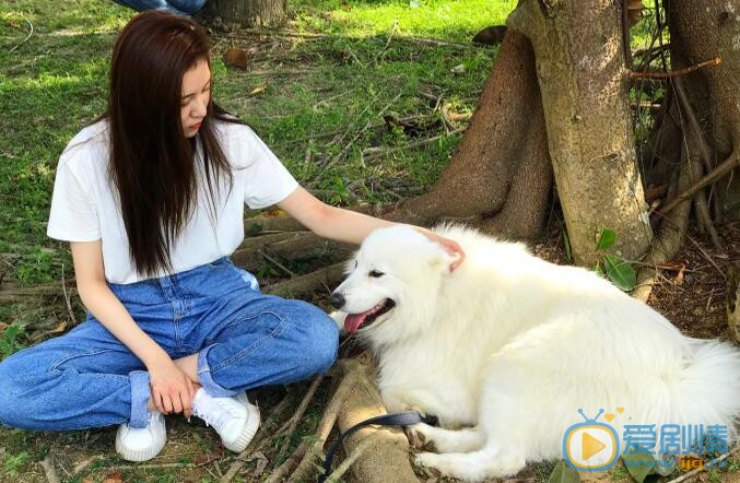 宋妍霏萌宠写真 宋妍霏高清写真_宋妍霏高清剧照