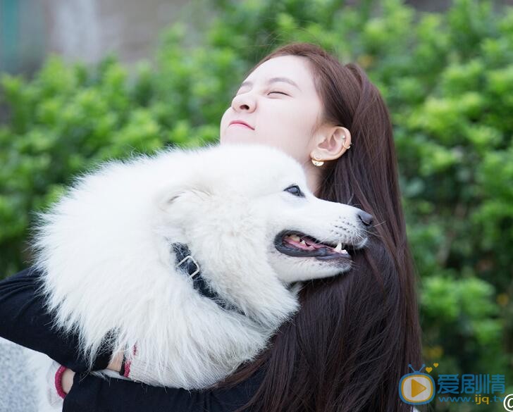 宋妍霏萌宠写真 宋妍霏高清写真_宋妍霏高清剧照
