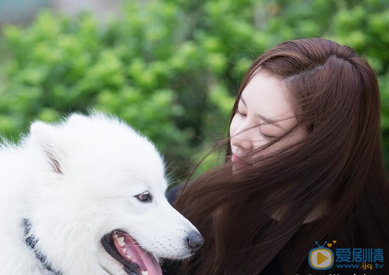宋妍霏萌宠写真 宋妍霏高清写真_宋妍霏高清剧照