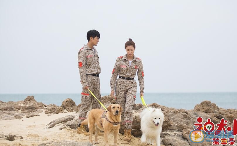 宋妍霏《神犬小七3》剧照 宋妍霏高清写真_宋妍霏高清剧照