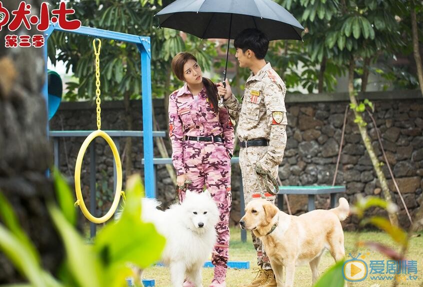 宋妍霏《神犬小七3》剧照 宋妍霏高清写真_宋妍霏高清剧照