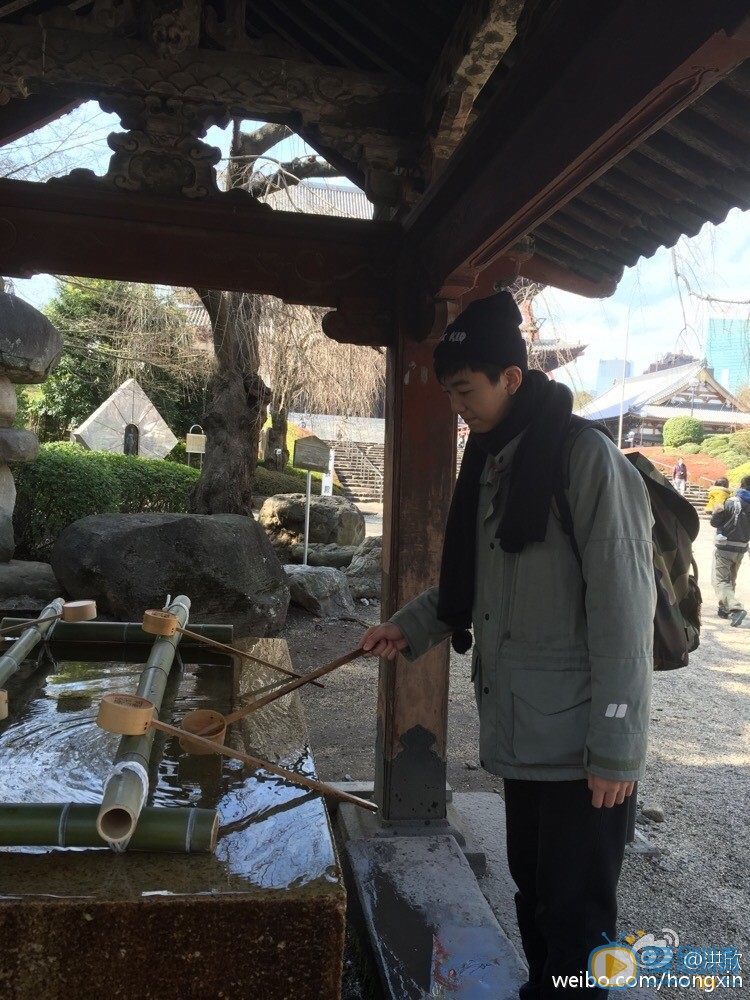 洪欣儿子张浩锋照片 洪欣高清写真_洪欣高清剧照