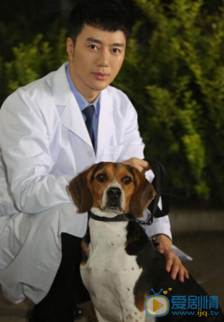 王浩钧《警花与警犬》剧照 王浩钧高清写真_王浩钧高清剧照